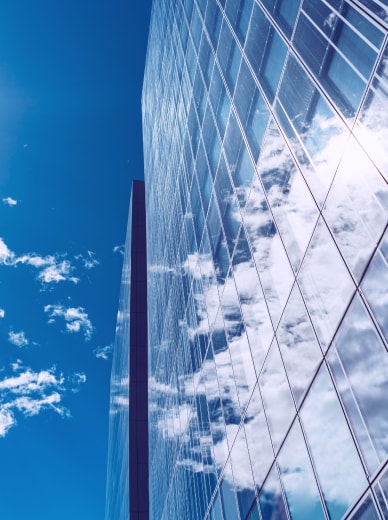 Elevate Your Success with a True Partnership in Telecom Solutions!